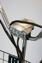 Load image into Gallery viewer, EWheels EW-29 Trike. Pedal or Electric