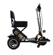 Load image into Gallery viewer, Enhance Mobility TRIAXE Sport