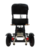 Load image into Gallery viewer, Enhance Mobility TRIAXE Sport